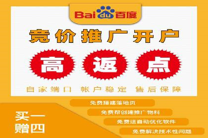 竞价广告案例分析：品牌成功之道